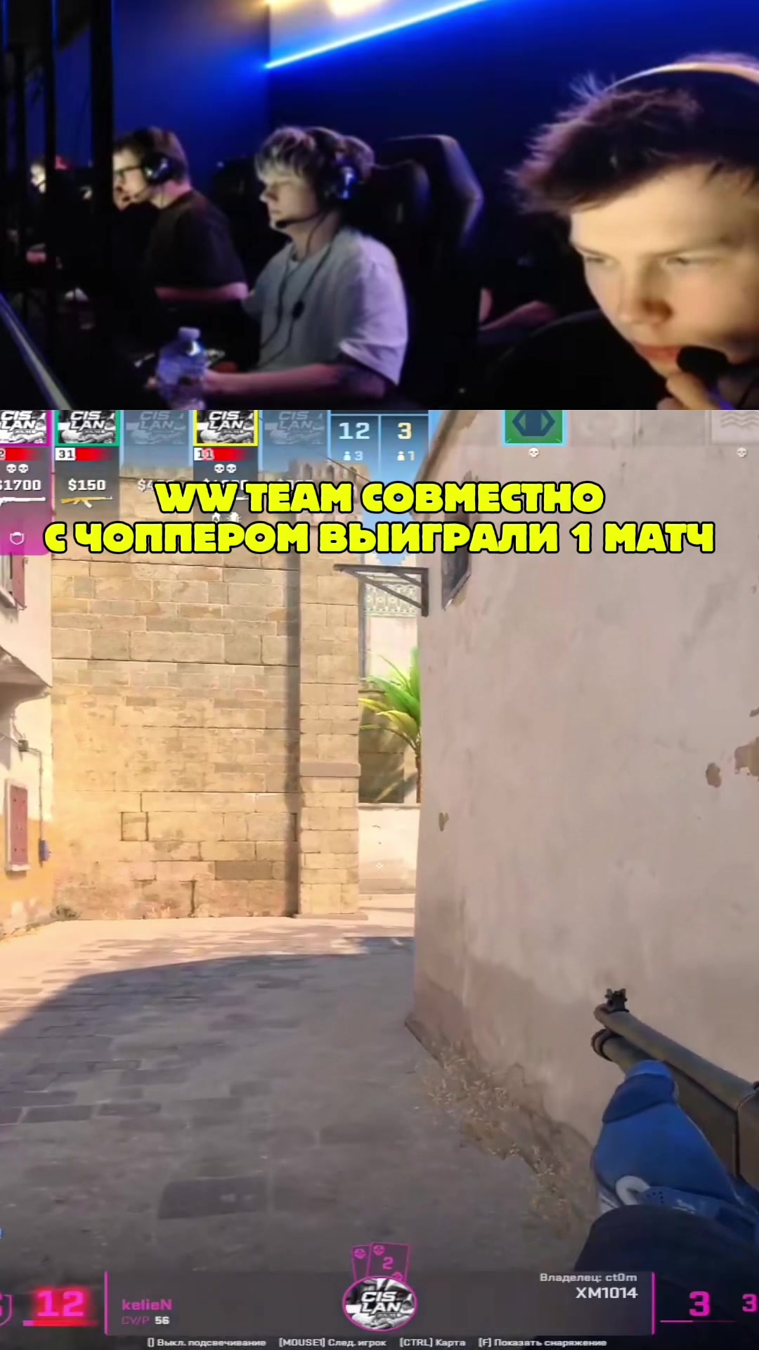 @ЧаХлео Твич