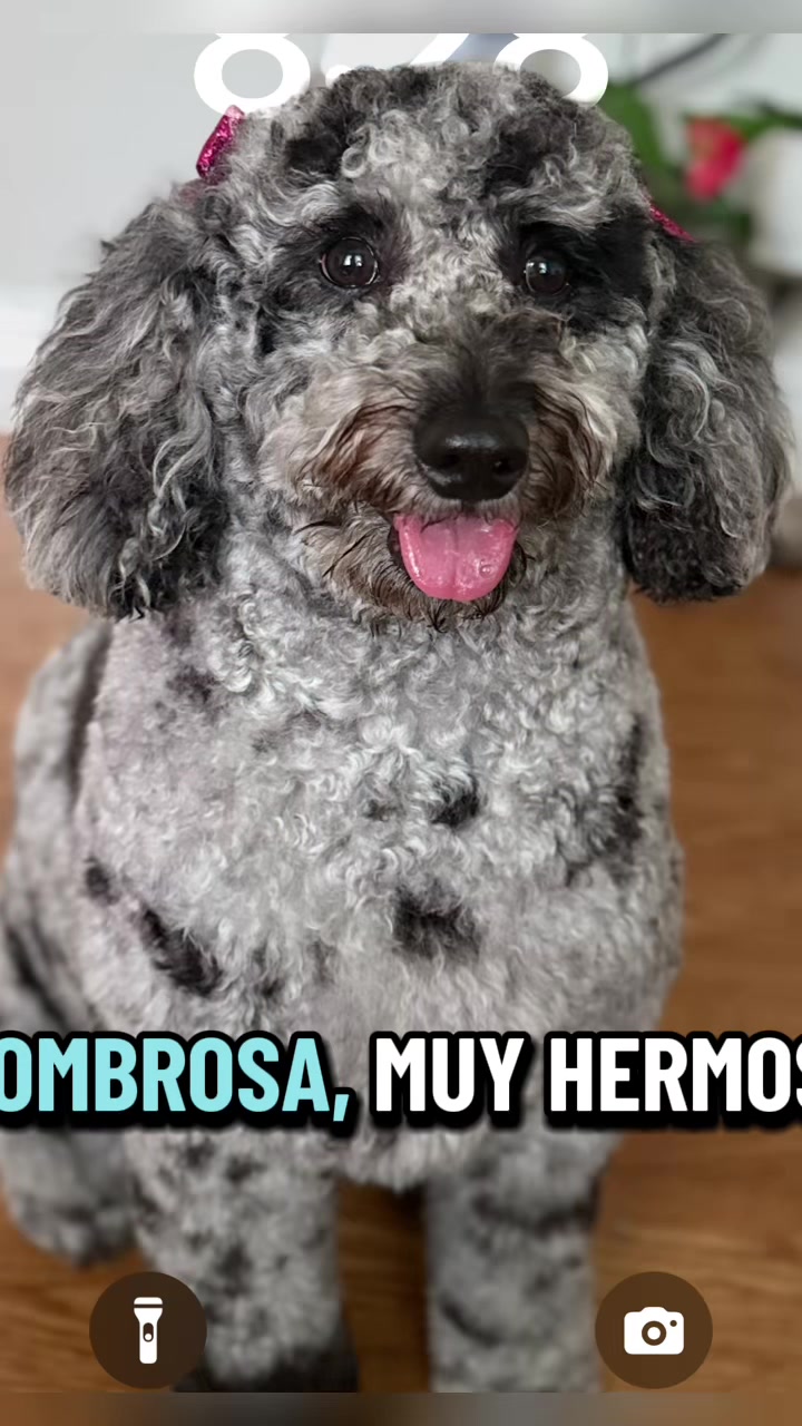 @Lupitaflaquita88