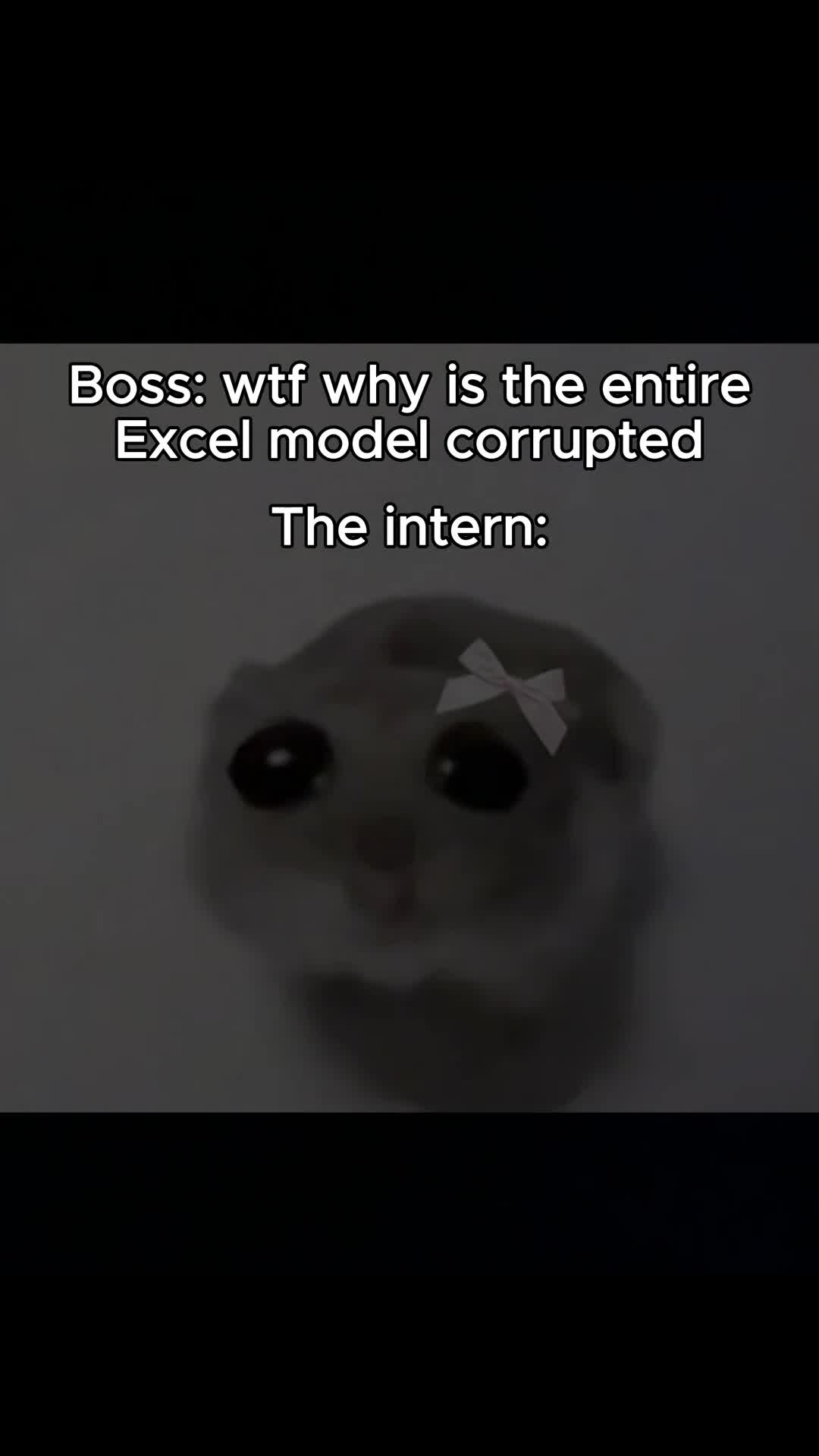 @Finance Bro