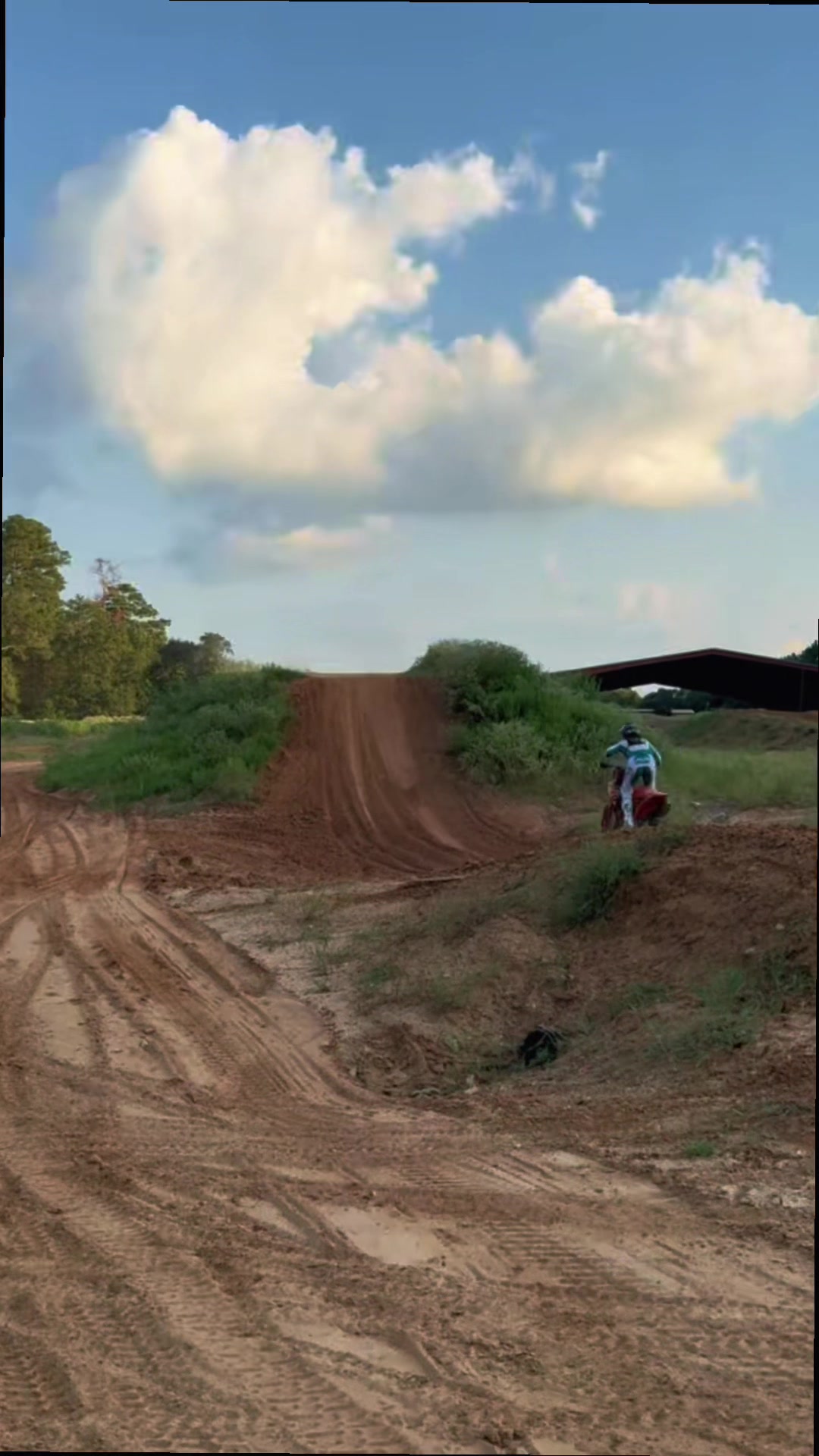 @george cosenza