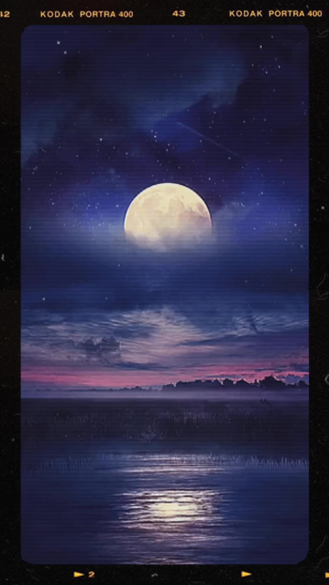 @Bleedingrose🌑🔮