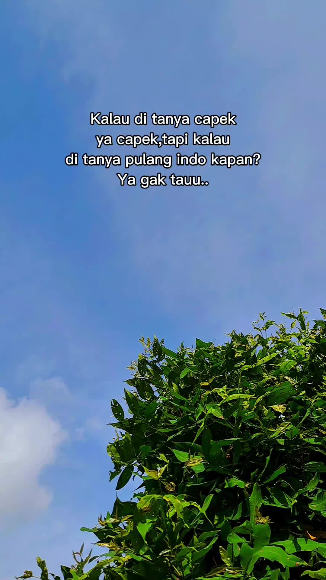 @Yunita jb