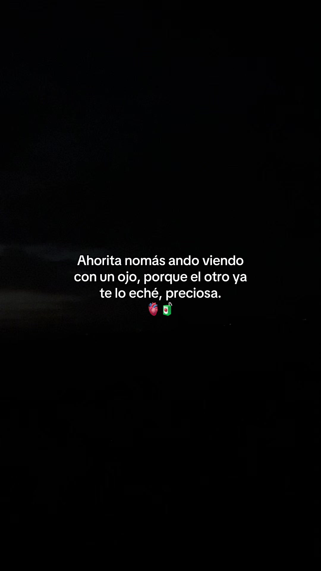 @Gatocix 🐱