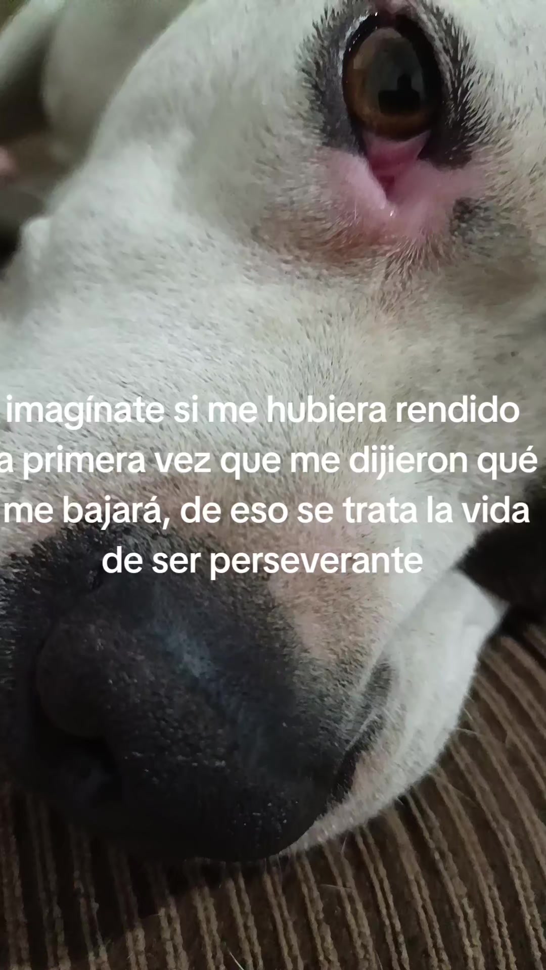 @Alejandro Navarro