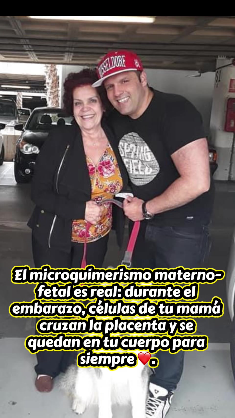 @elchacho35