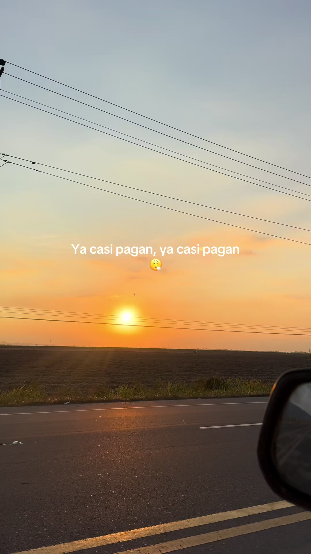 @Vivi