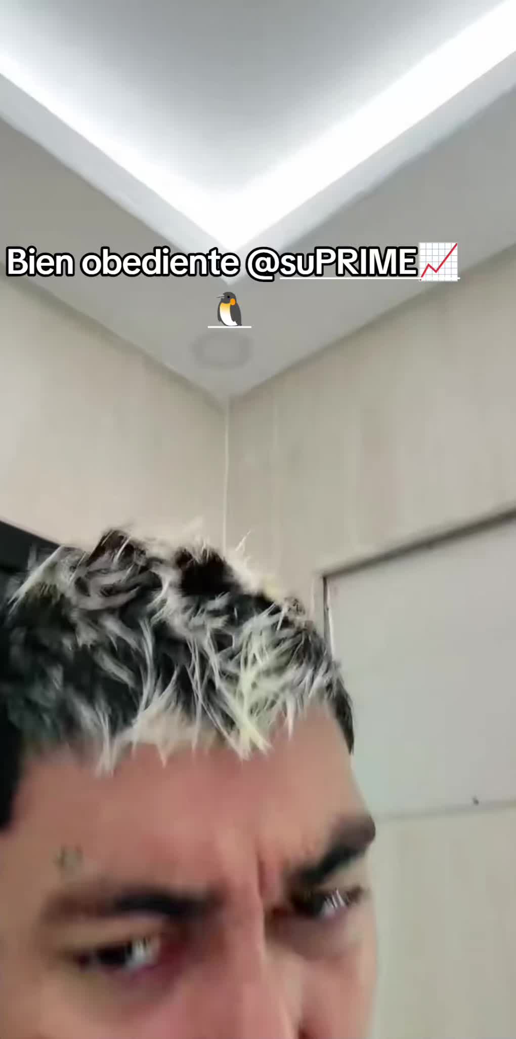 @Hncubanakaclips🦁♾️👑🐧🐈💄👅