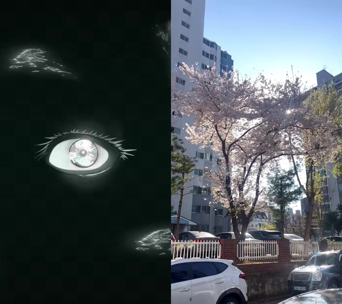 @정호석 메리미