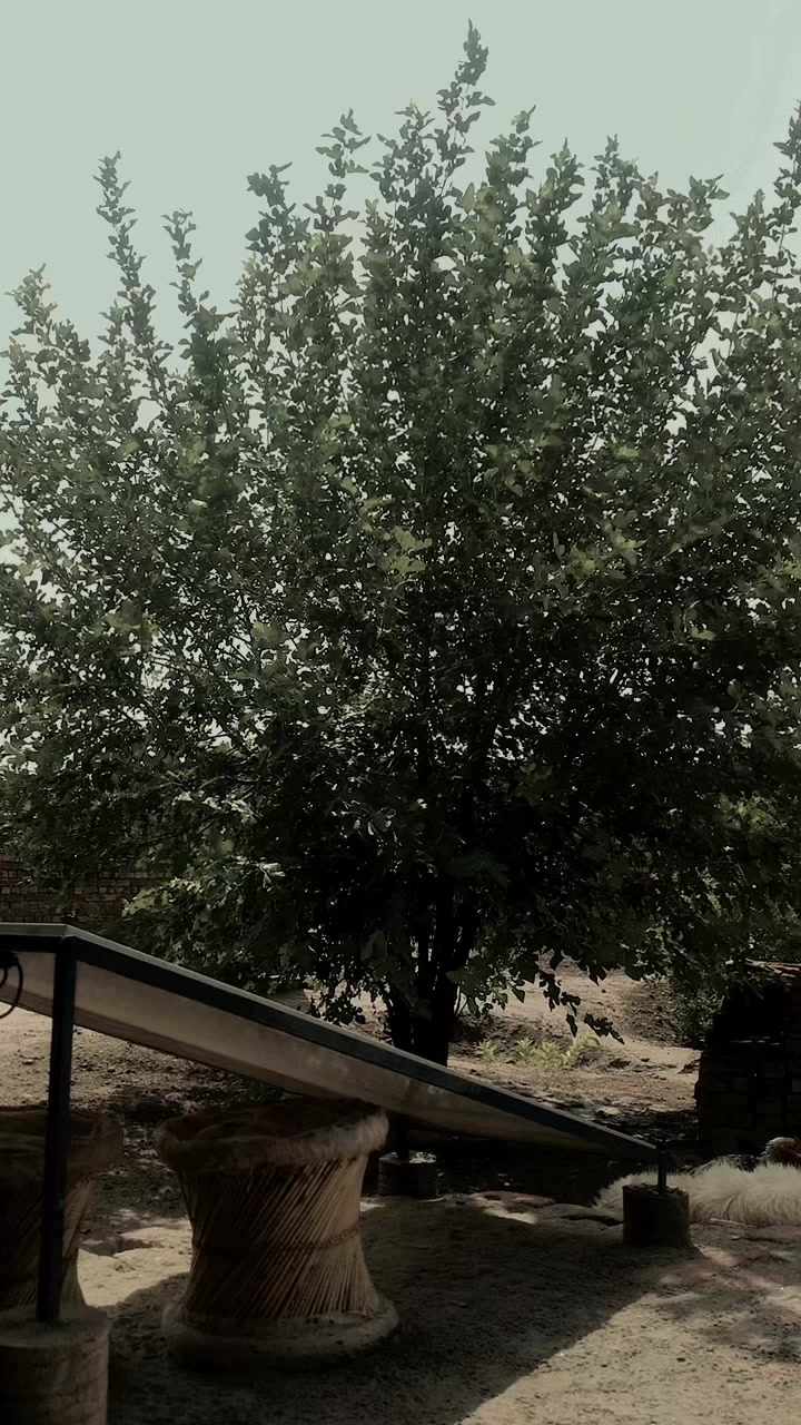 @Ali Nahra