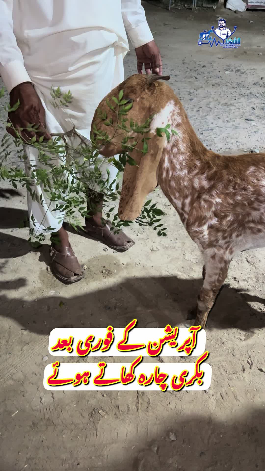 @Dr.Mohsin