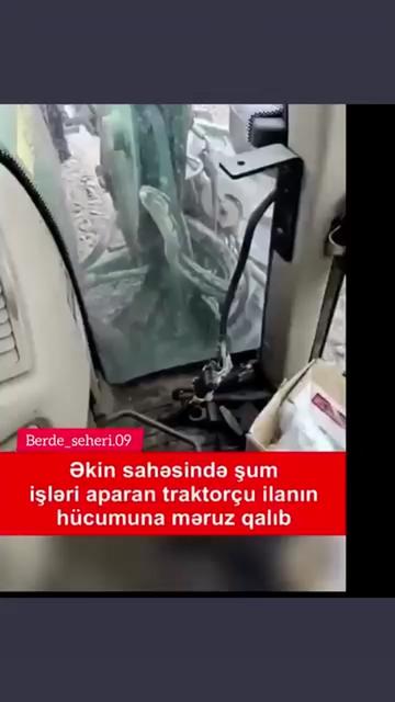@Berde_seheri.09