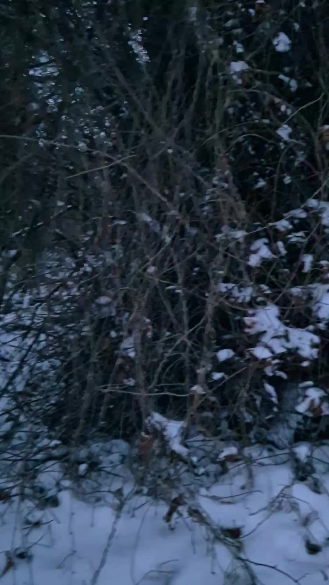 @NS_26