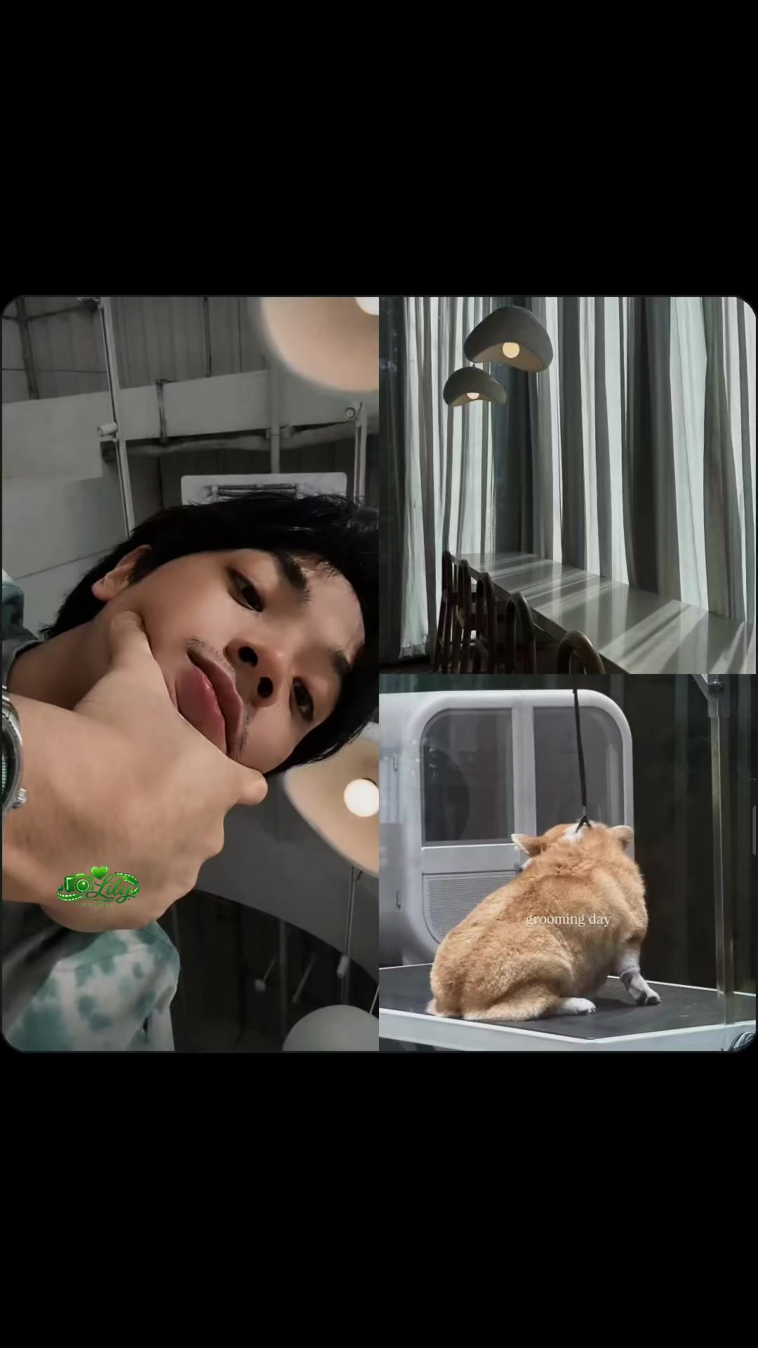 @࣪ ִֶָ☾.𝓛𝓲𝓵𝔂 ^᪲᪲᪲𖹭ʚɞ