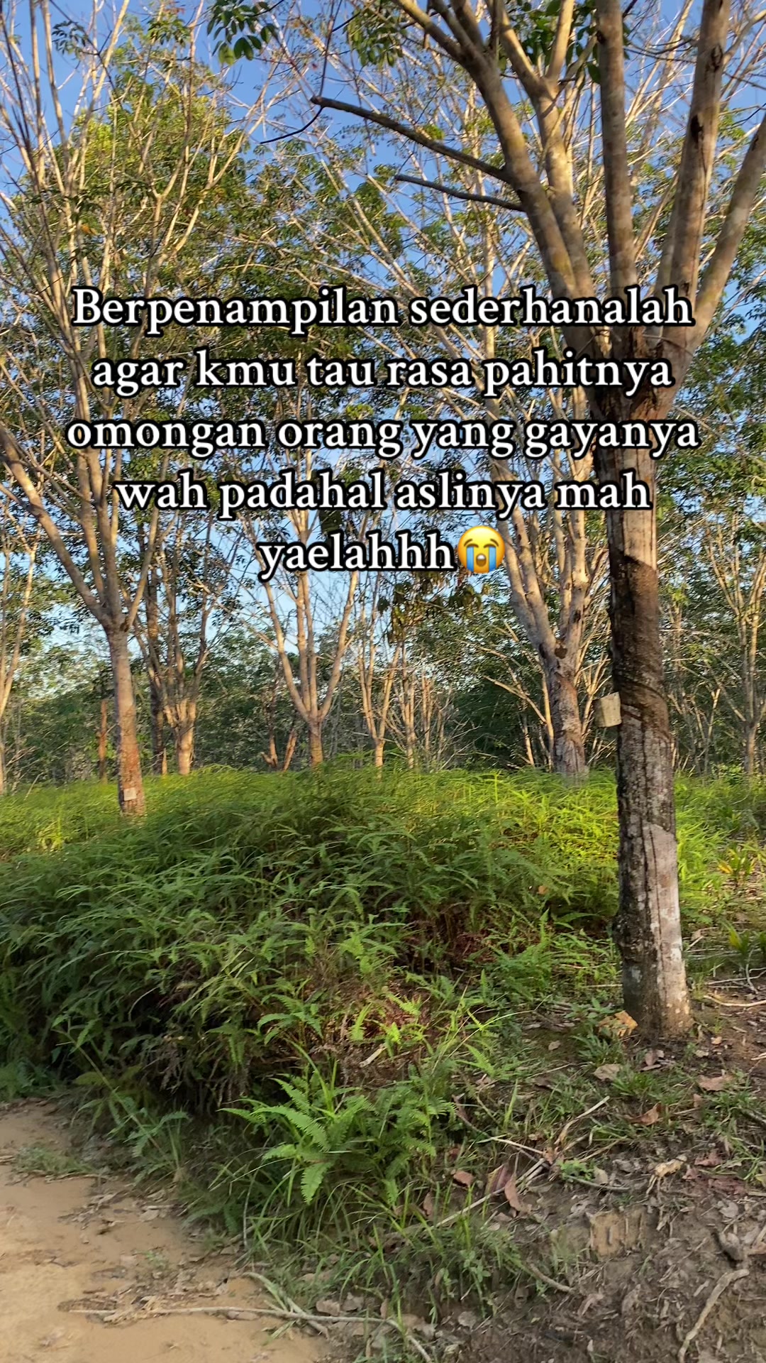 @ferdika Al arifin