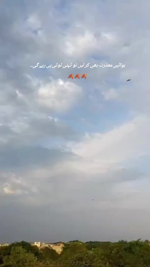 @Zeenou Khan