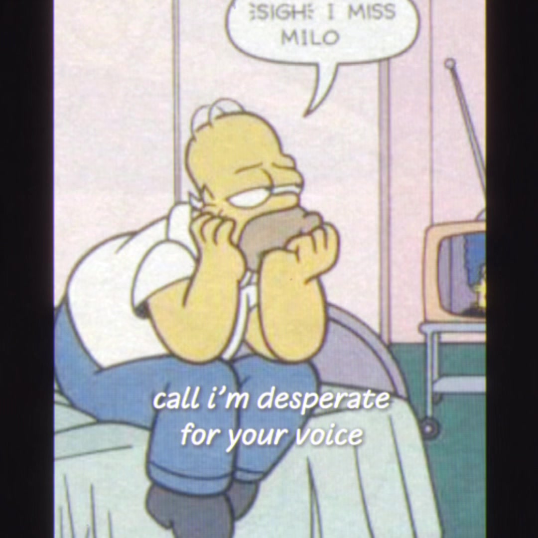 @Milo 𐂯 Homer’s Fiancé