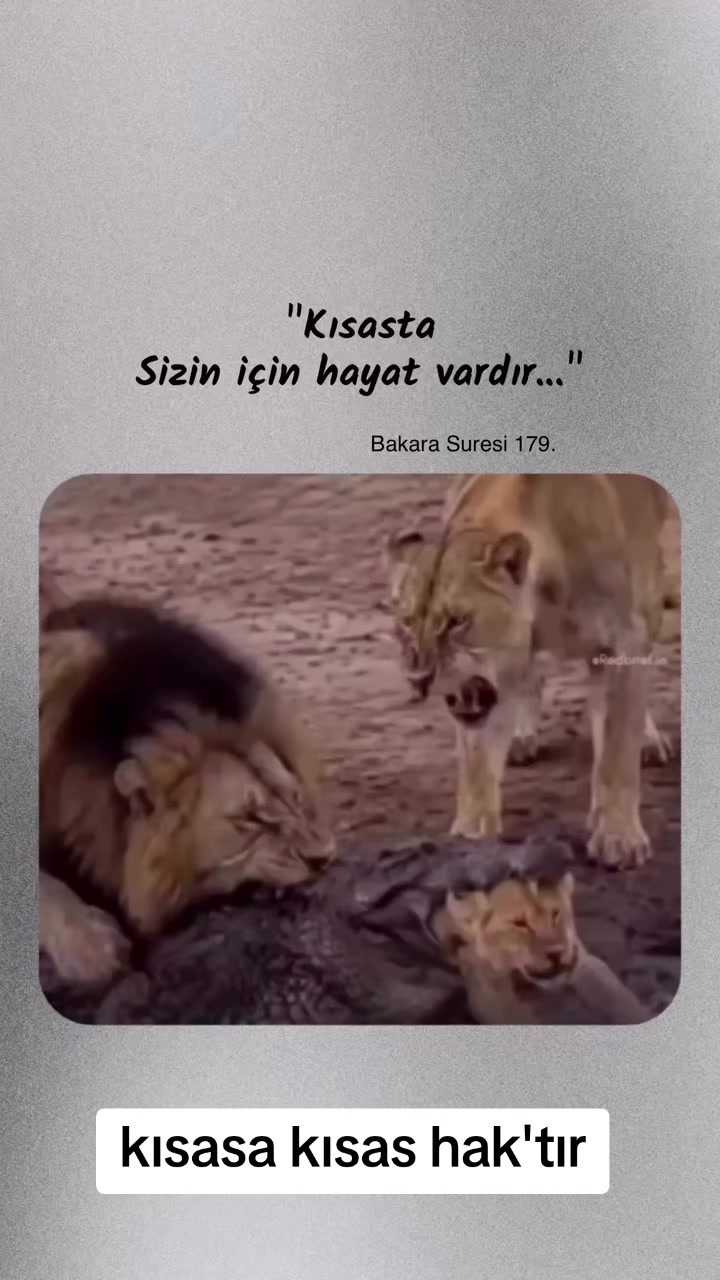 @Bay Eren