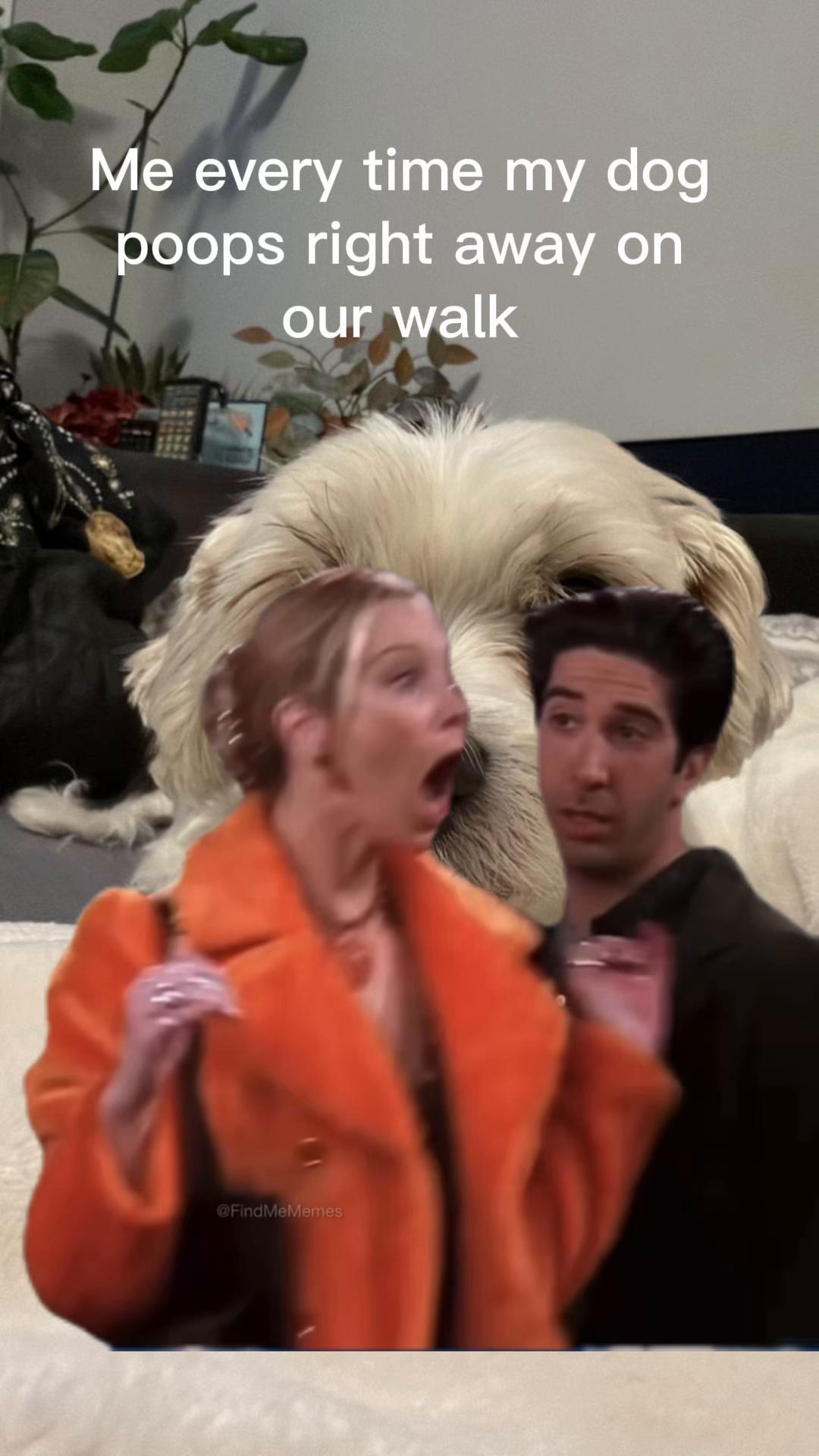 @alyssaunowitz🦖