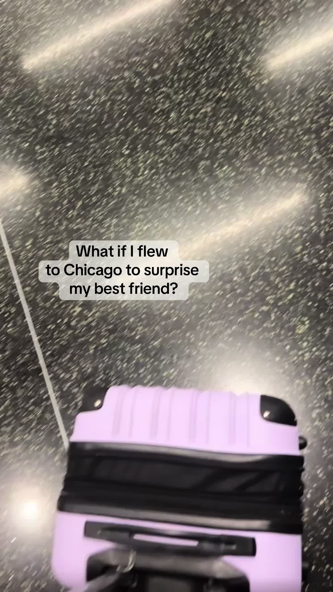 @lily