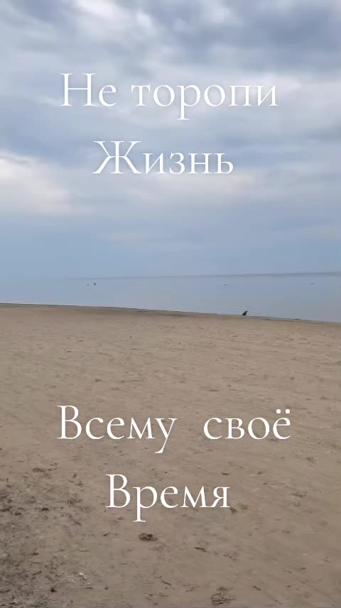 @fantomas