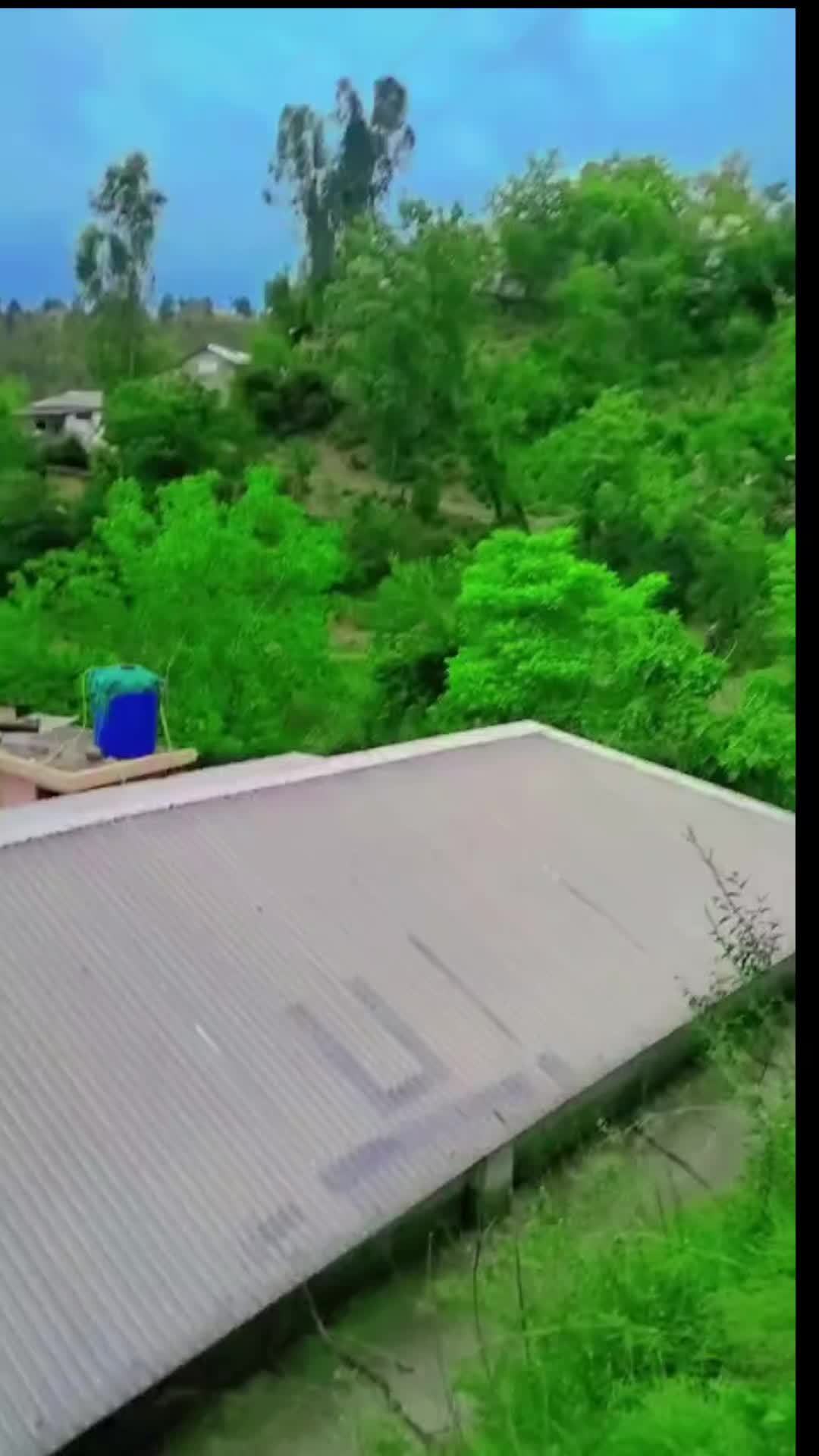 @pagal Foje