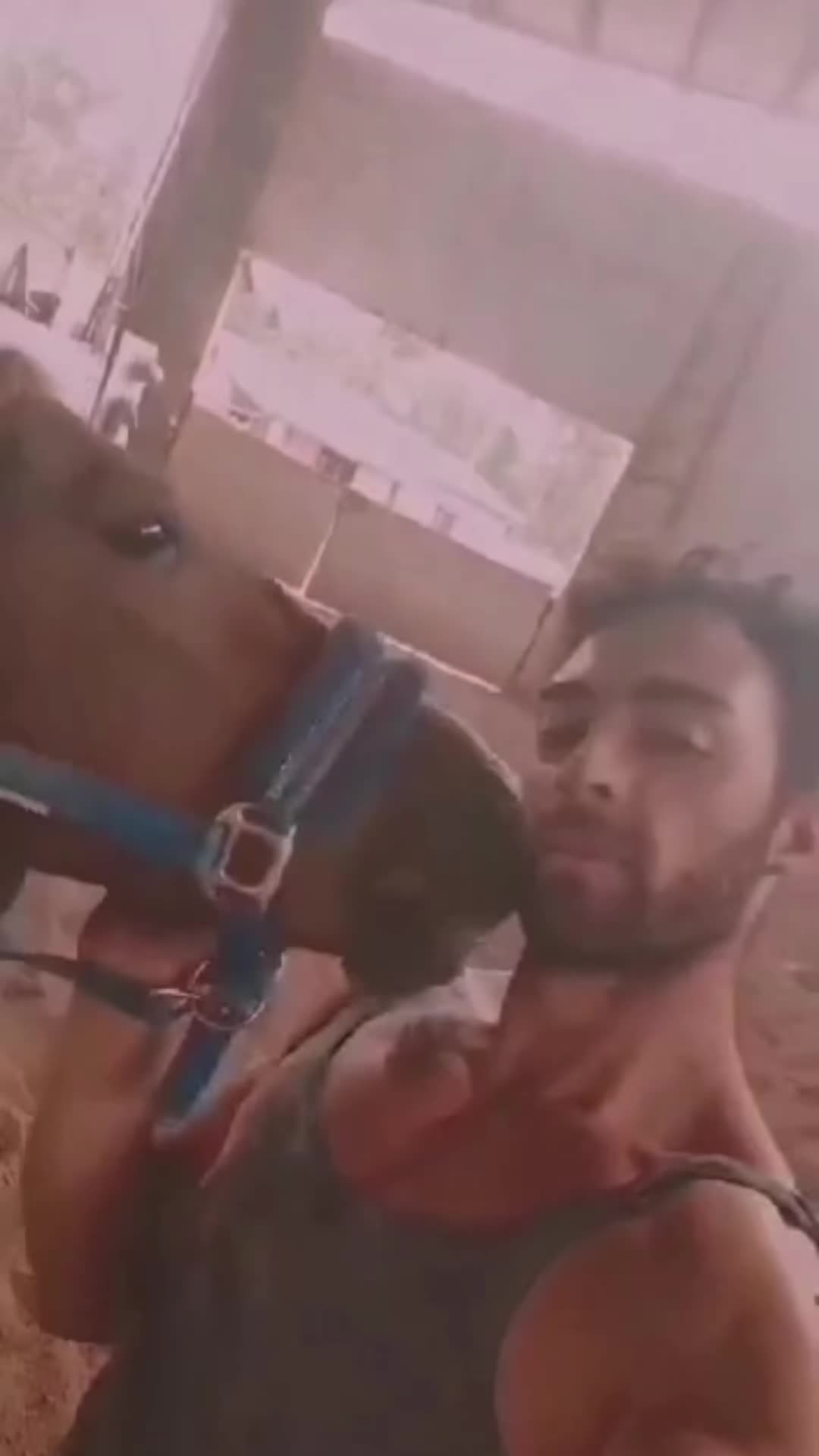 @Manuel Coletti