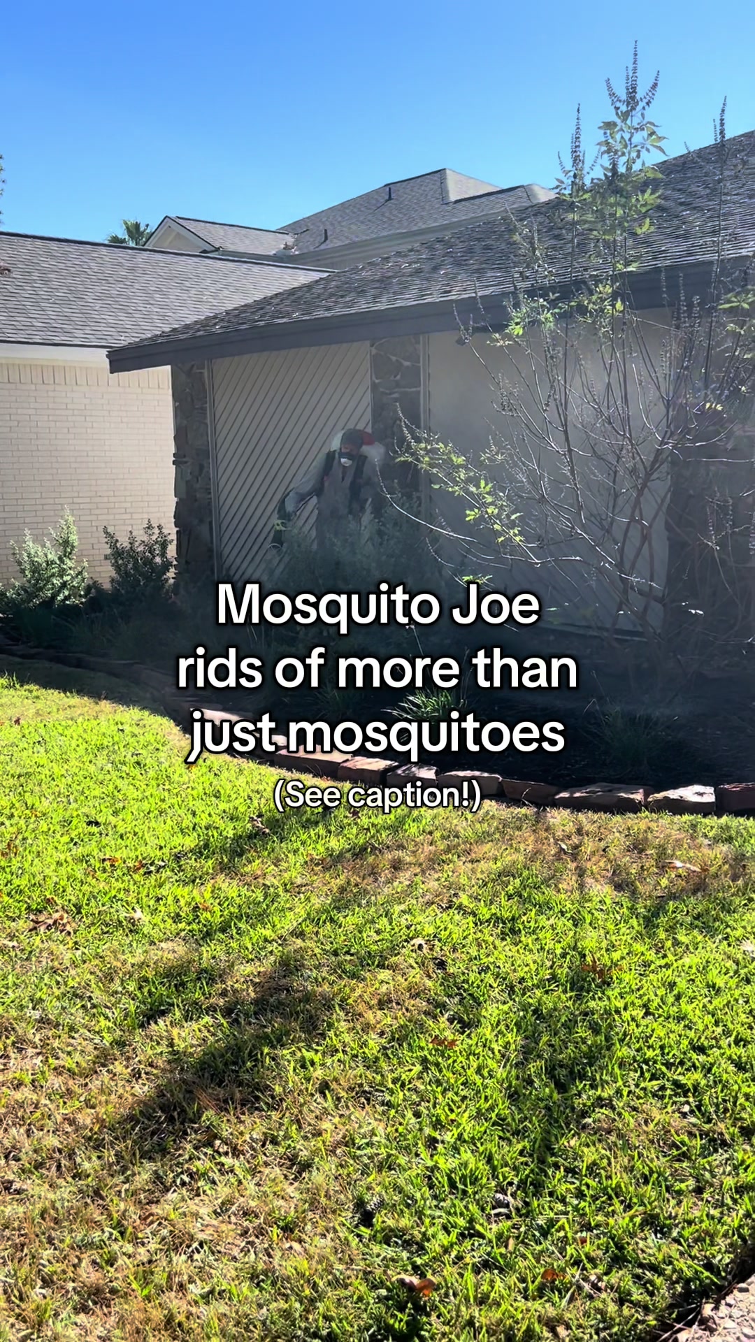 @Mosquito Joe NW Houston Brazos