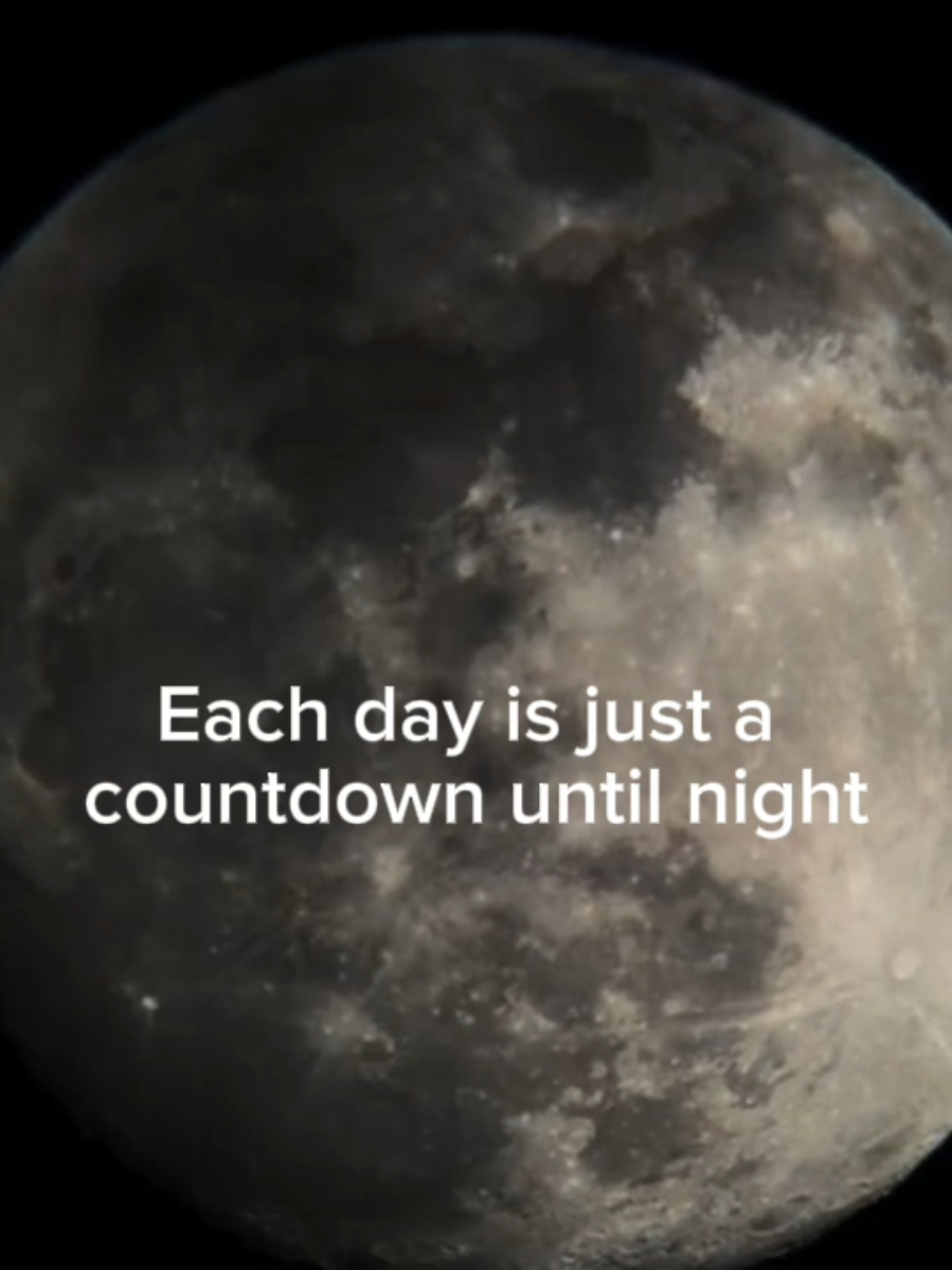 @moonpetal