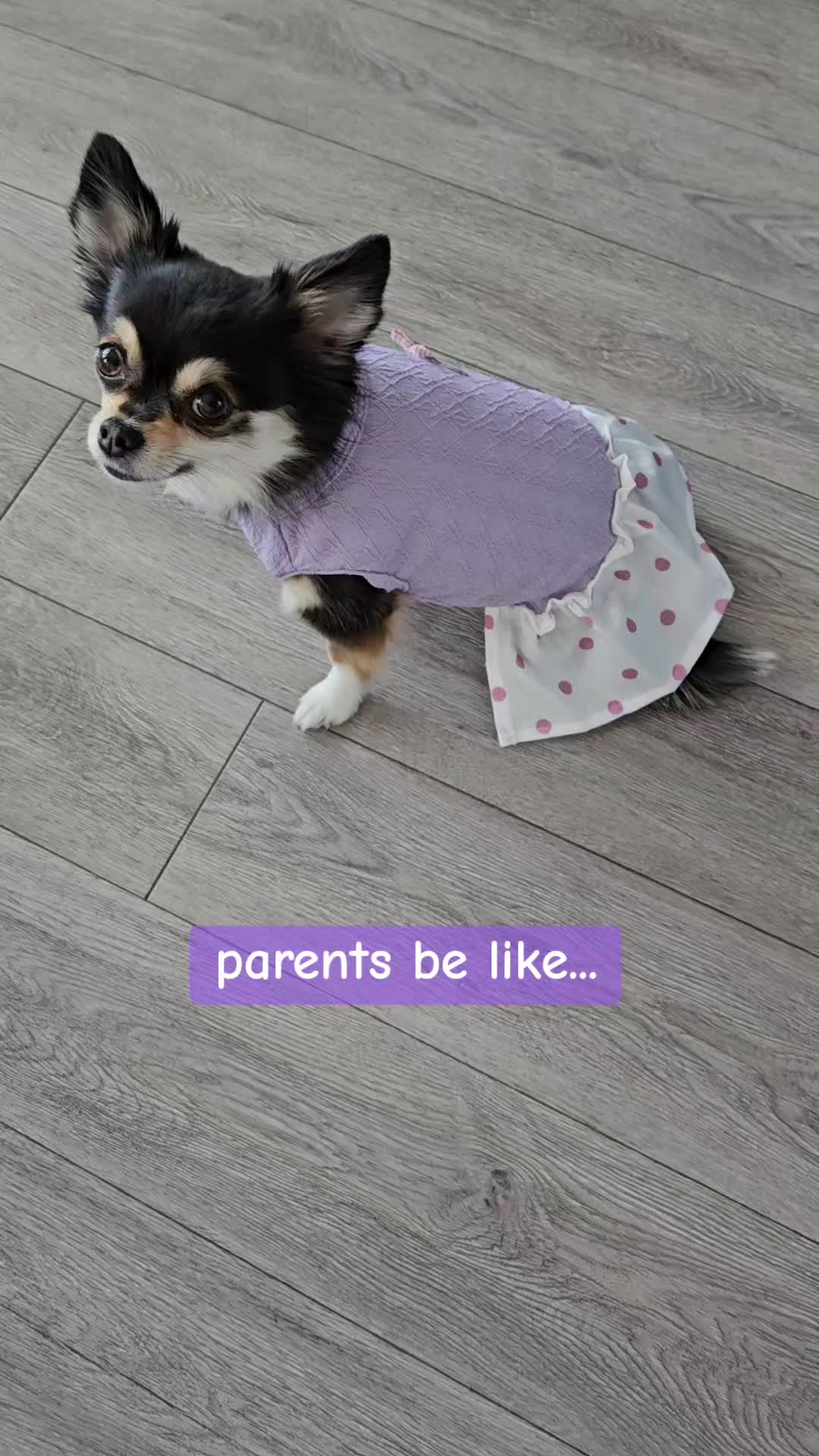 @Pawsha