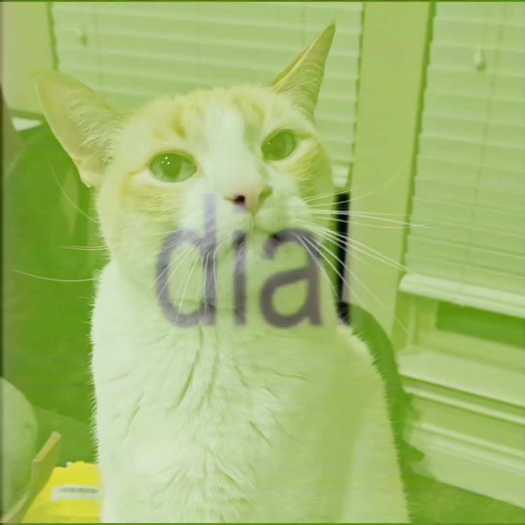@Felix