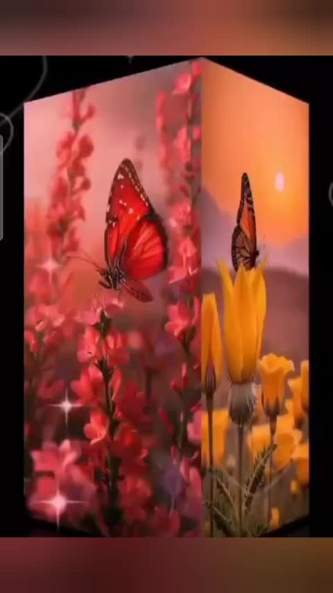 @faniellesage7