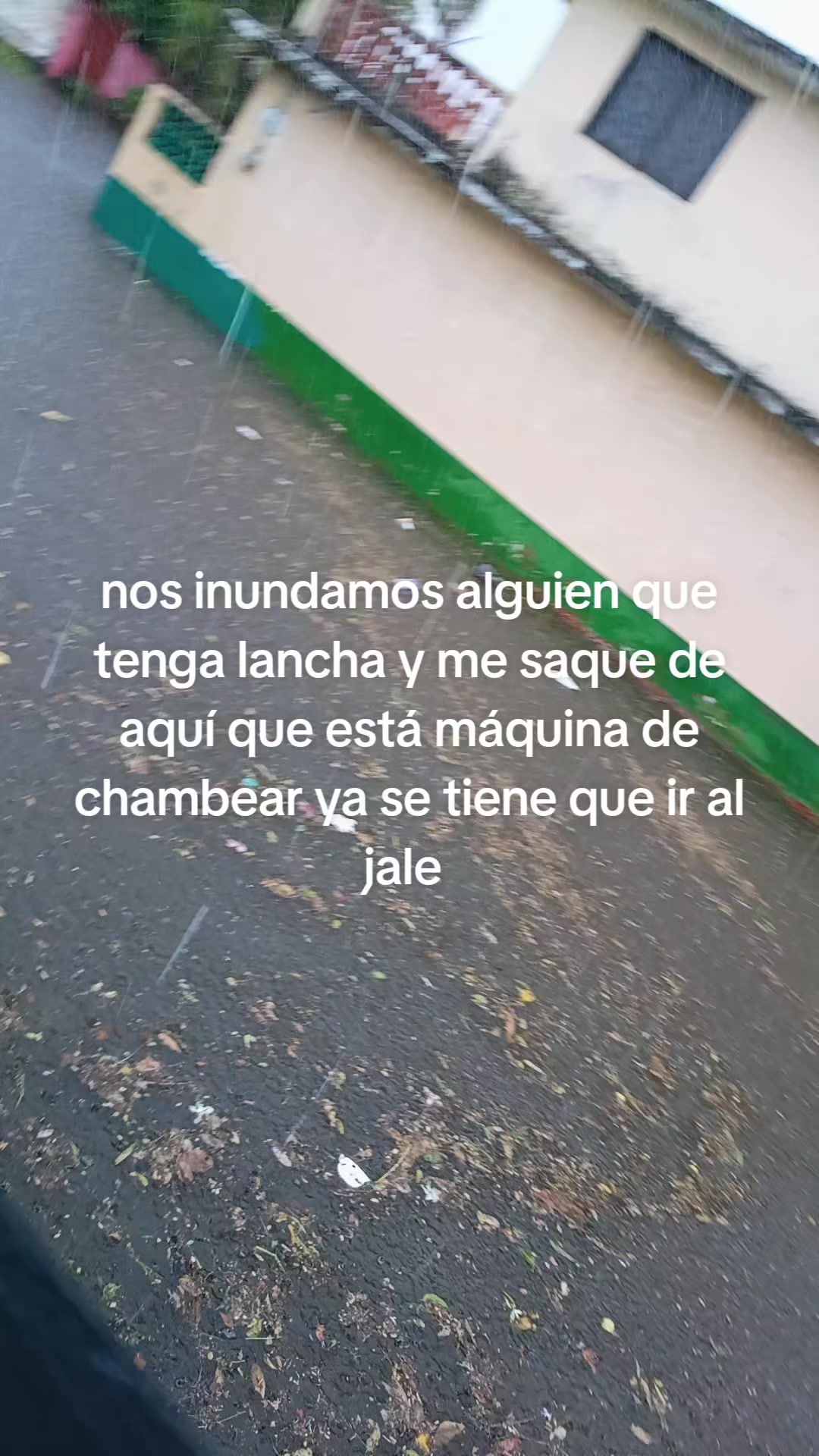 @negro jarocho