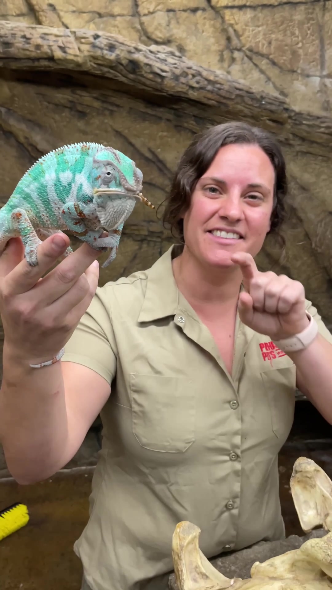 @The Reptile Zoo