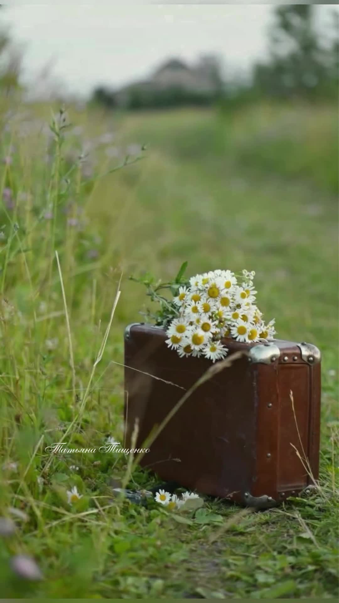 @Татьяна
