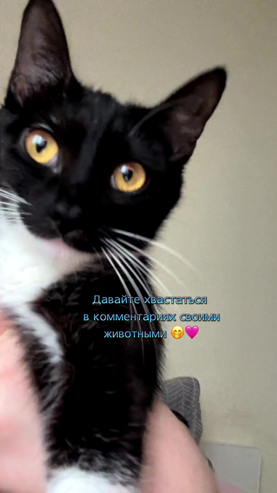 @Камила