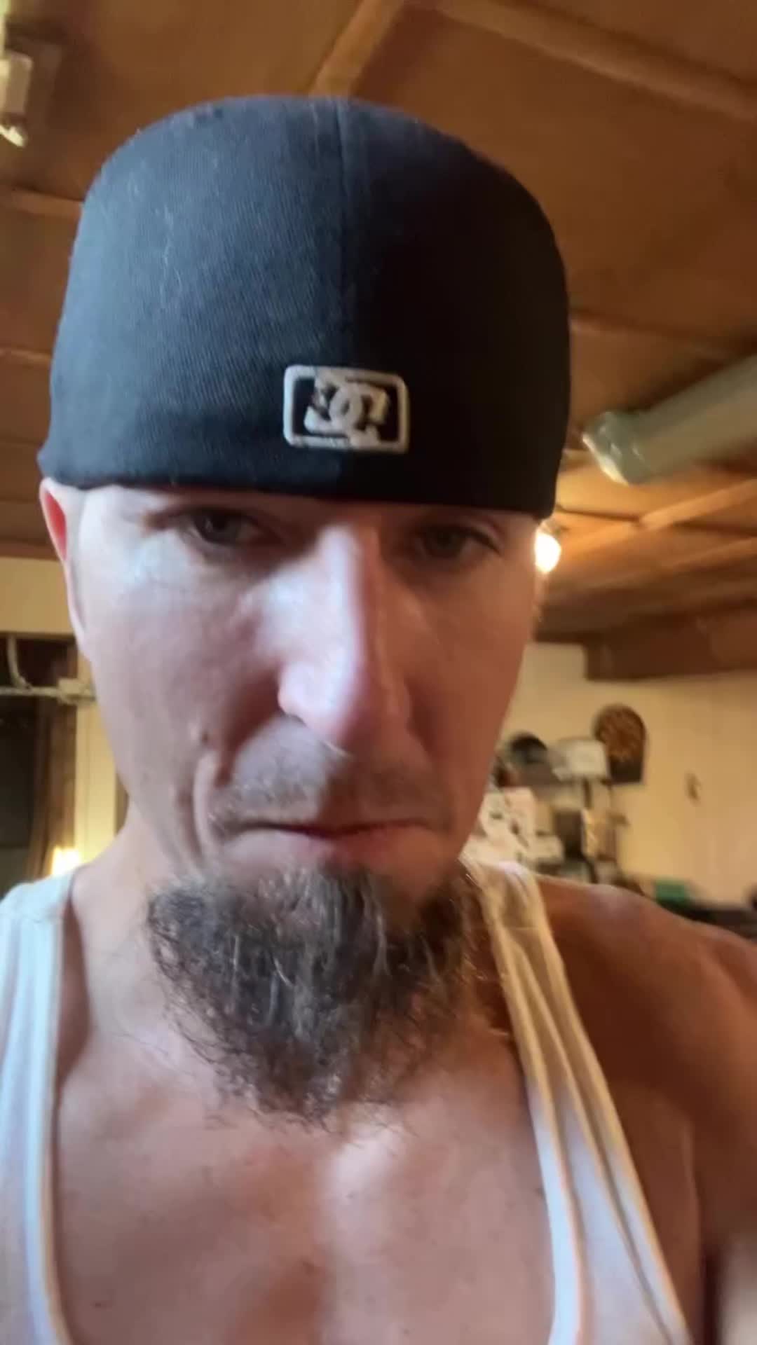 @DINGODARE