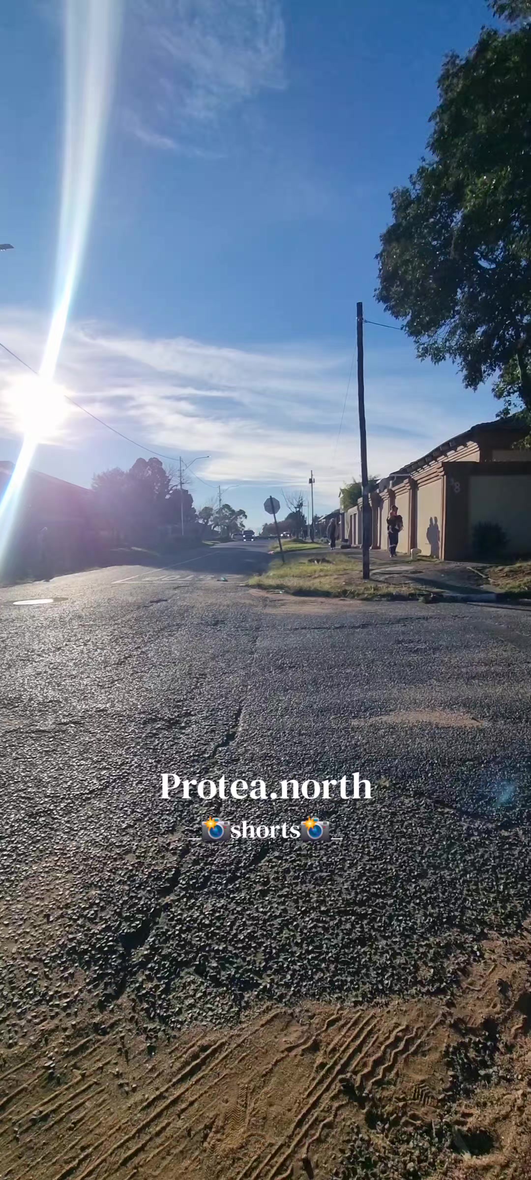 @Protea.north_shorts_