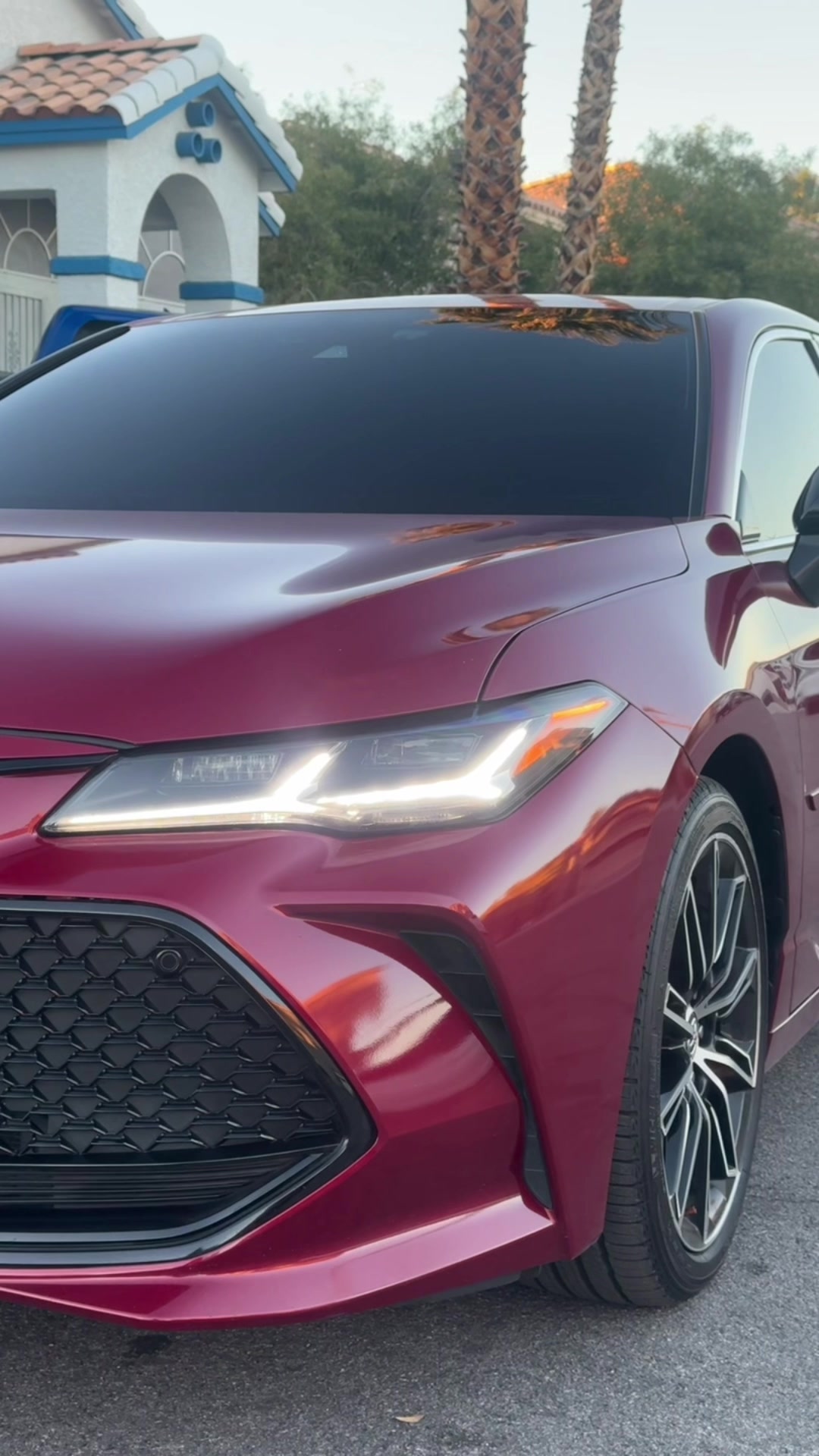 @isaiargh.trd