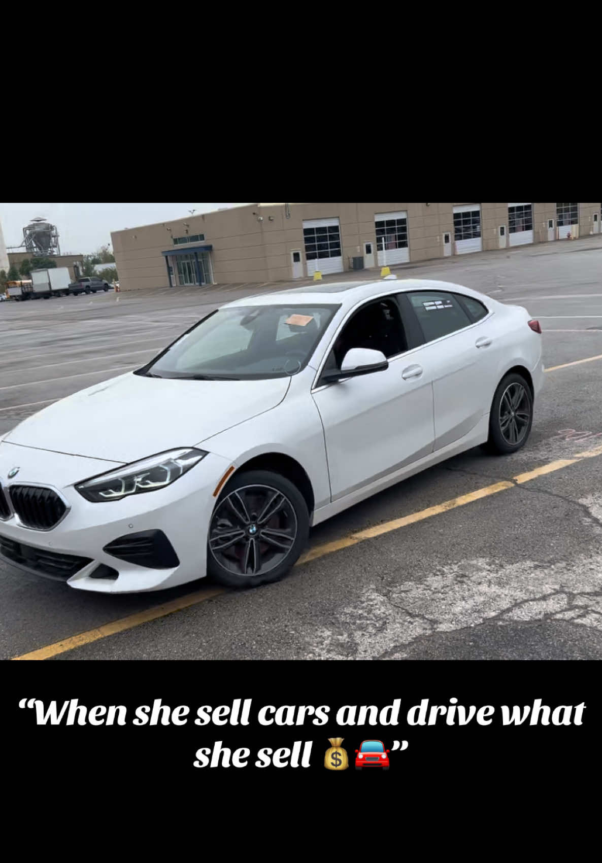 @MS.CEO
