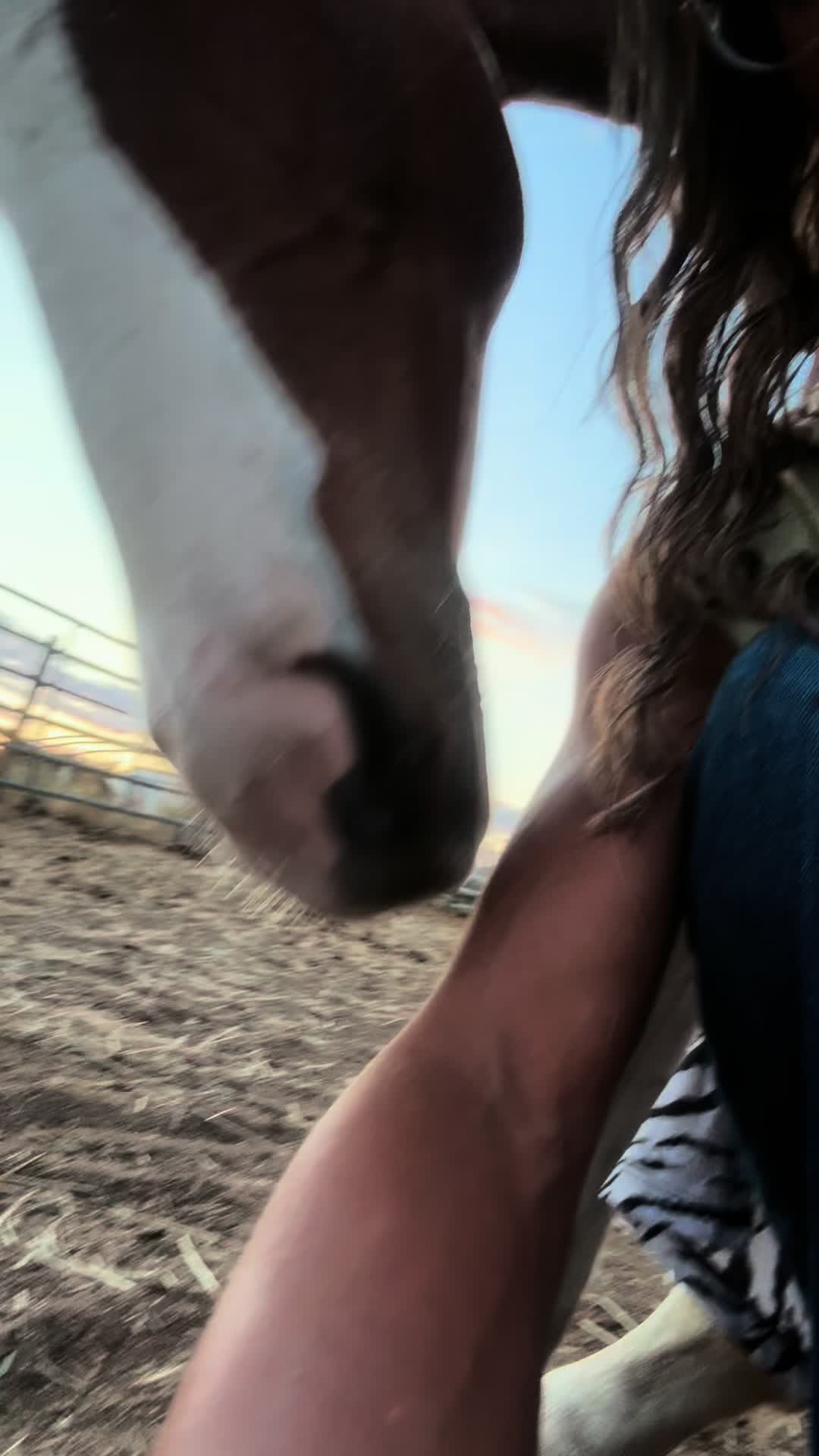 @Cowgirl Tuff Colt Training ❤️