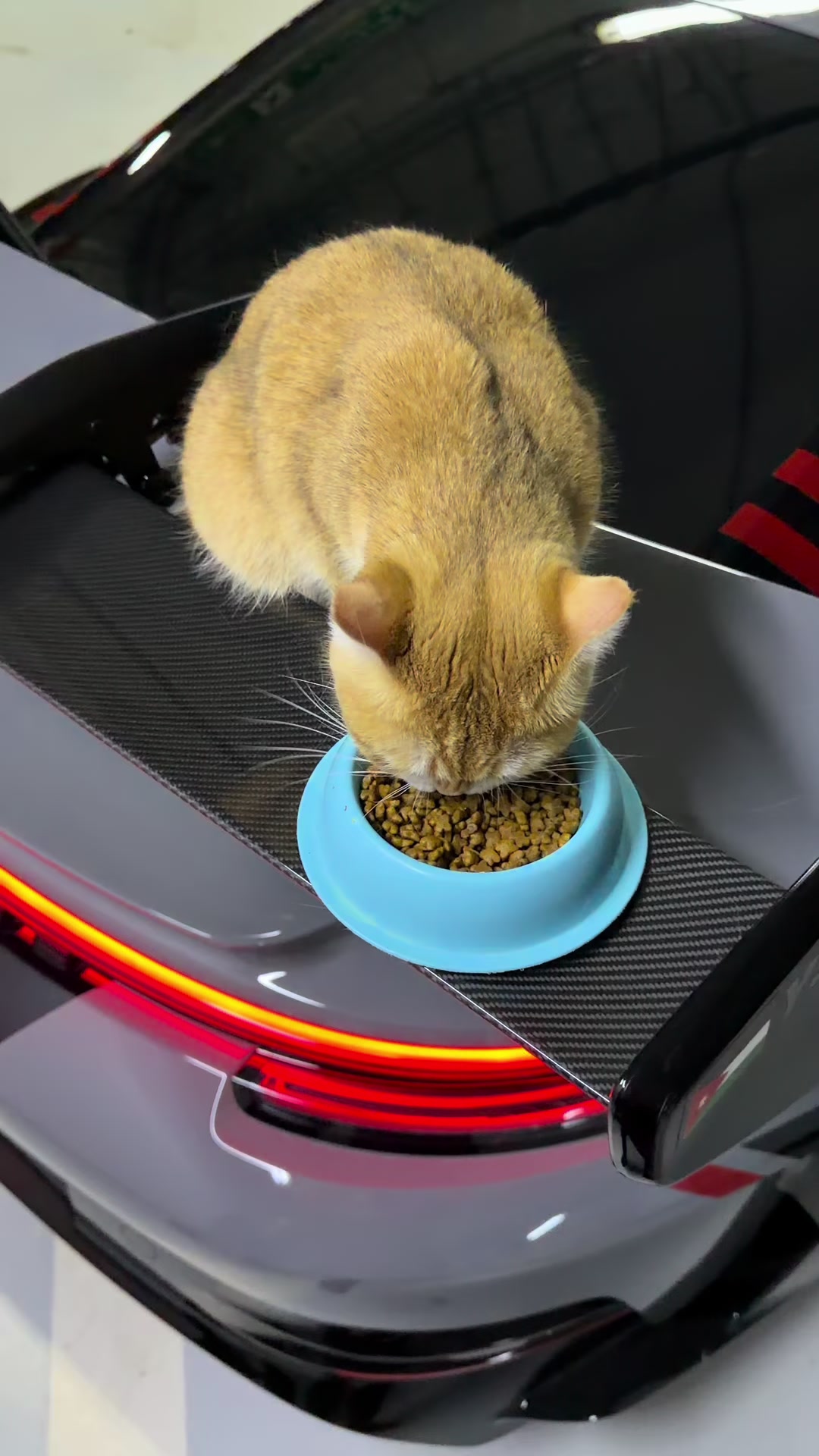 @brz