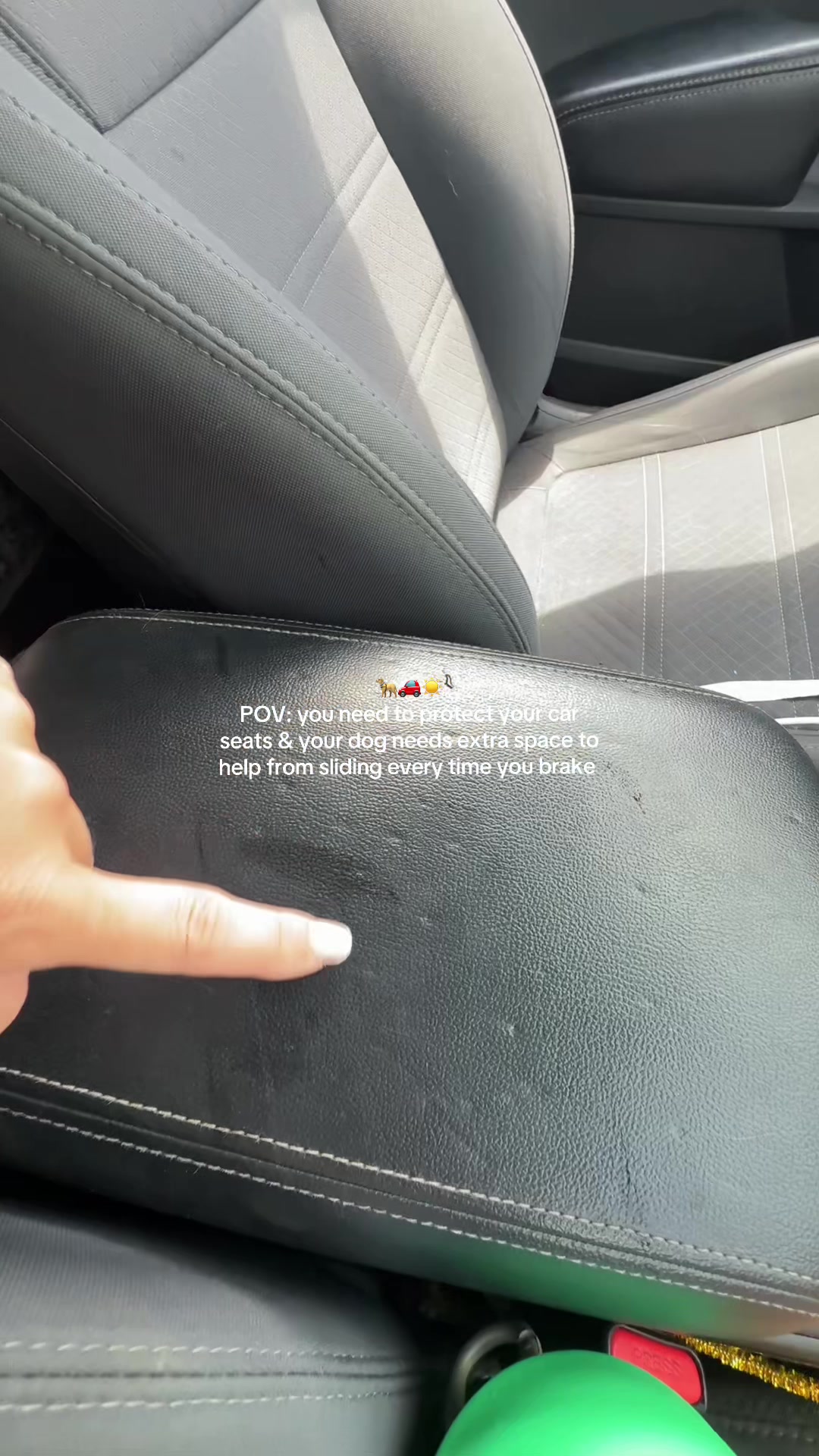 @Josi B🦮