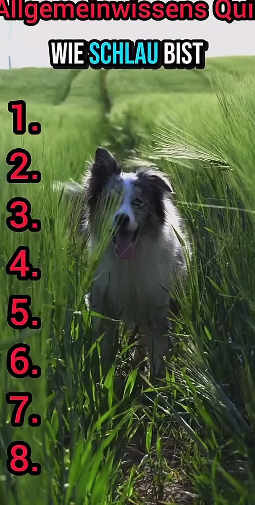 @DailyQuizMaster