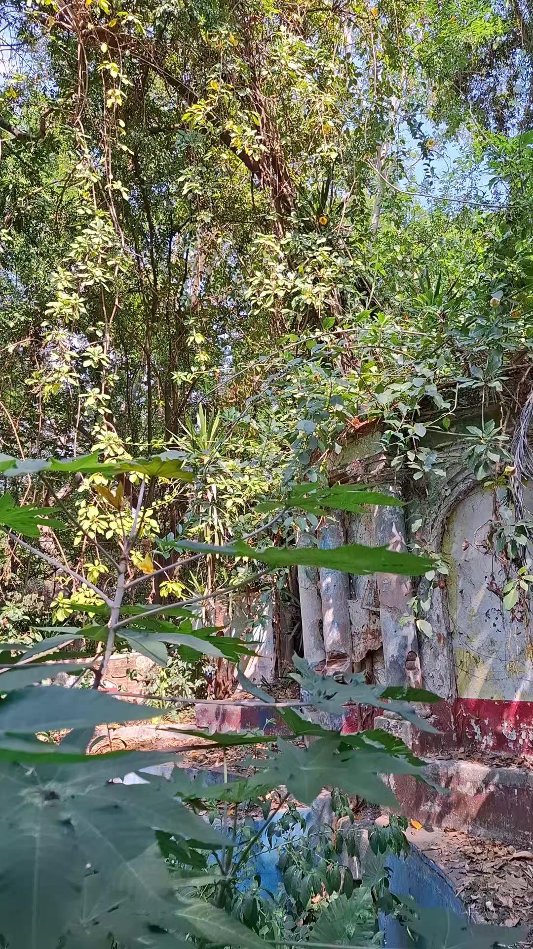 @Noe_Urbex