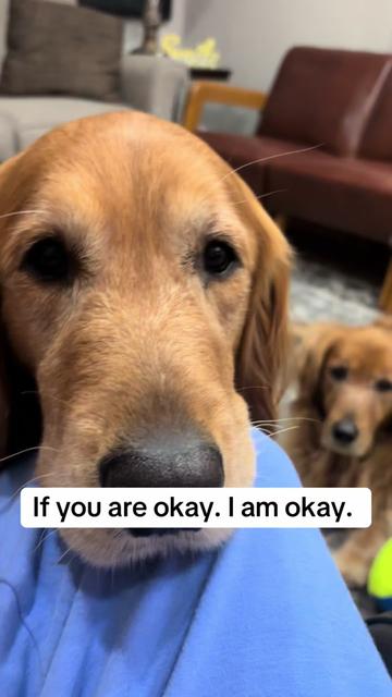 @Kayleigh Cooper & Penny