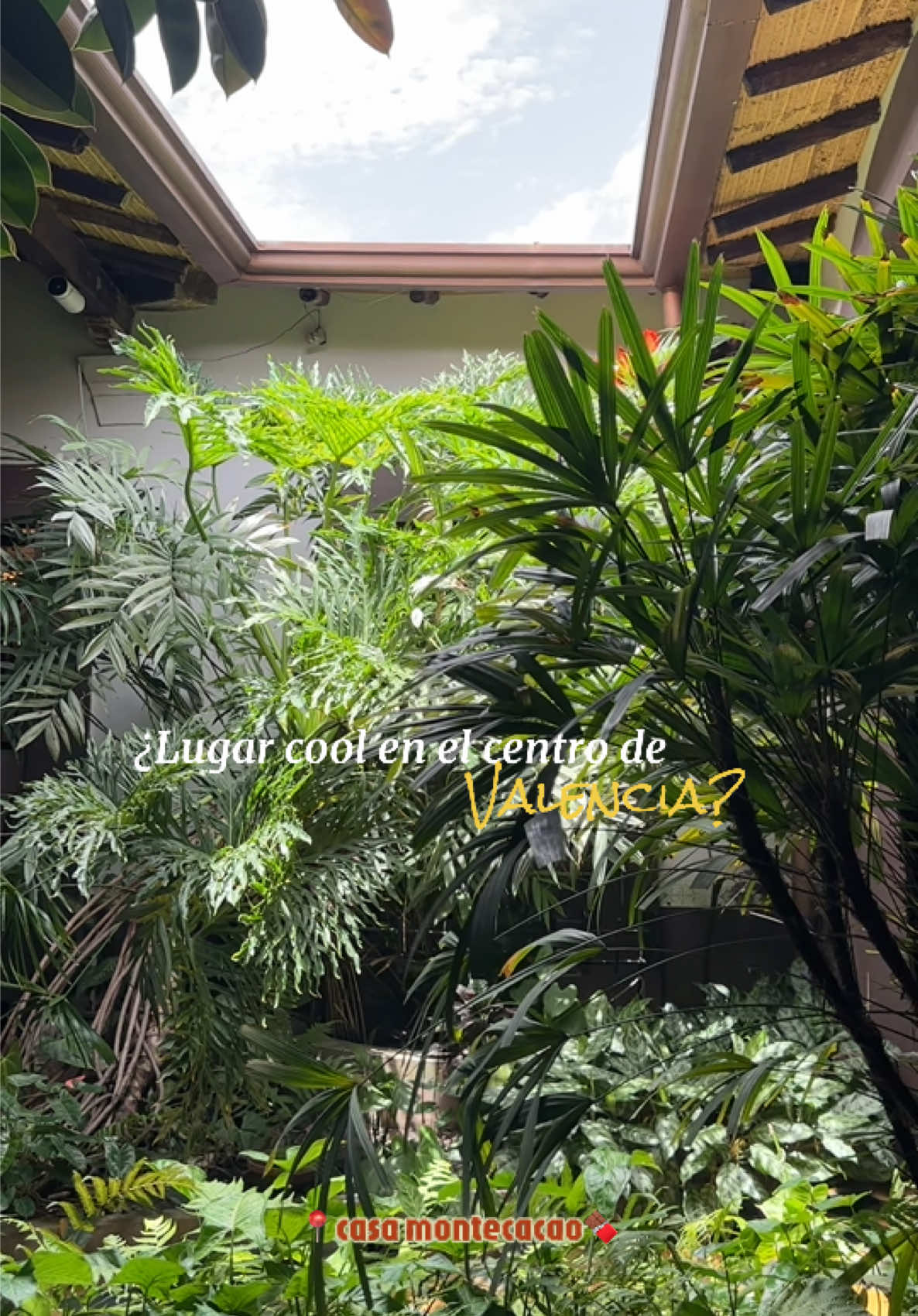 @kxvxn🔱