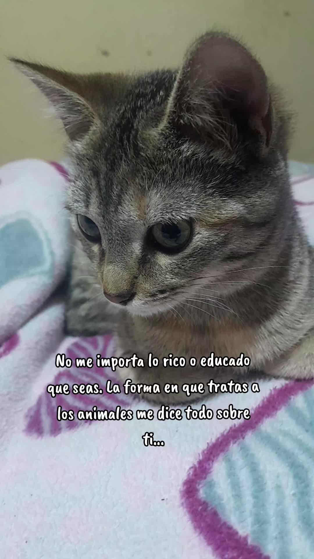@•Estefania•