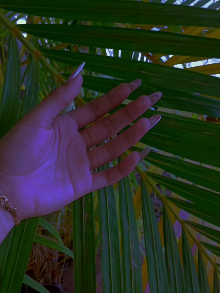 @ale🌷