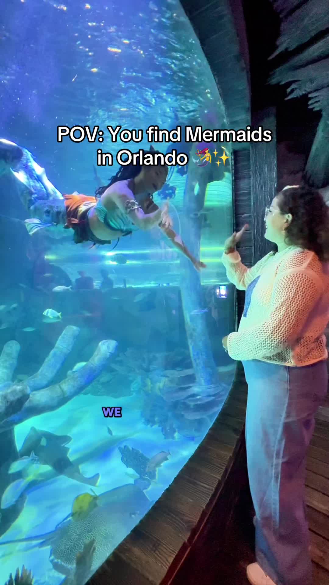 @Olivia Nunez | Orlando Creator