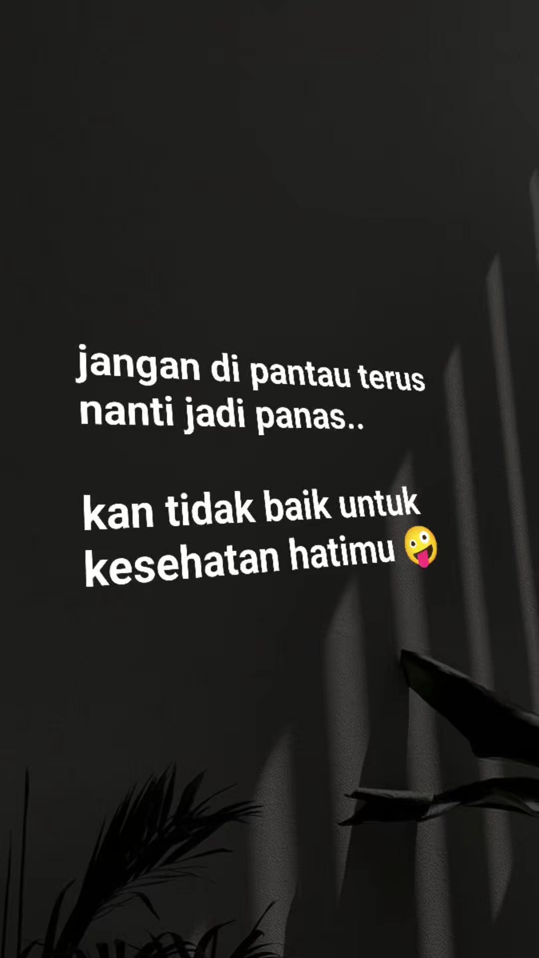 @Dokchan_ohrasatoy&rsquo;s